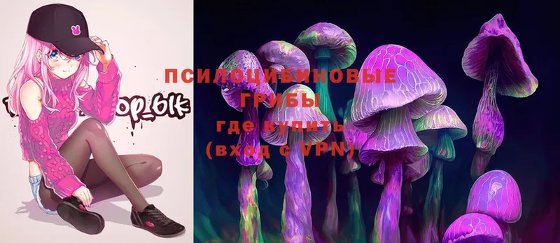 купить наркотики цена  Кулебаки  Галлюциногенные грибы Psilocybe 